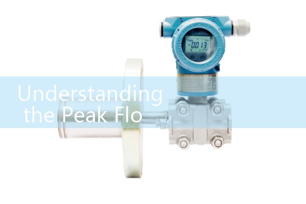 Understanding the Peak Flow Meter Normal Range by Age, Gender, and Height